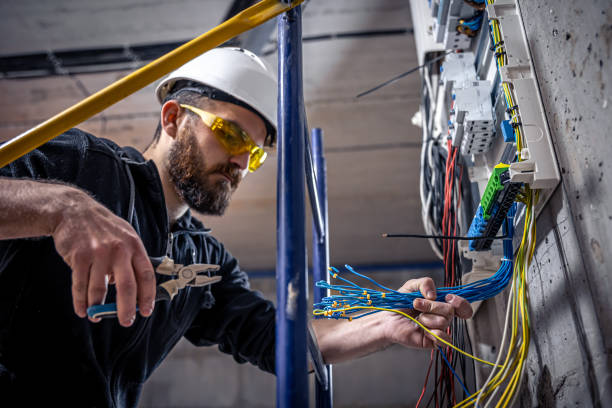 Best Electric Panel Repair  in Byrnes Mill, MO